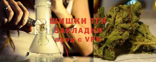 2c-b Горно-Алтайск