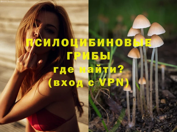 2c-b Горно-Алтайск