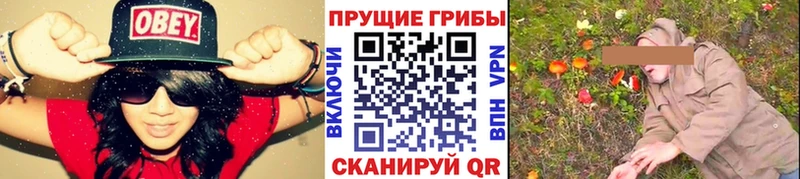 Псилоцибиновые грибы прущие грибы  Камень-на-Оби 